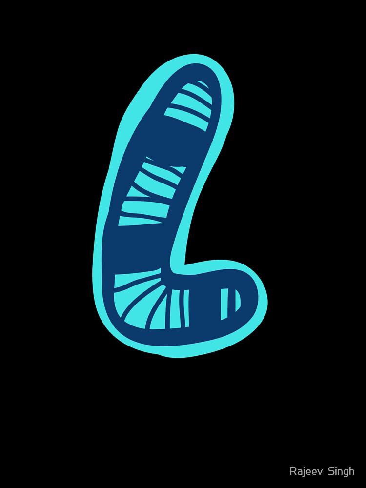 Initial Monogram L by Rajeev  Singh