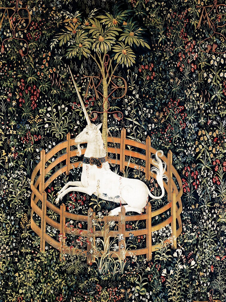 The Unicorn in Captivity by elinaarbidane