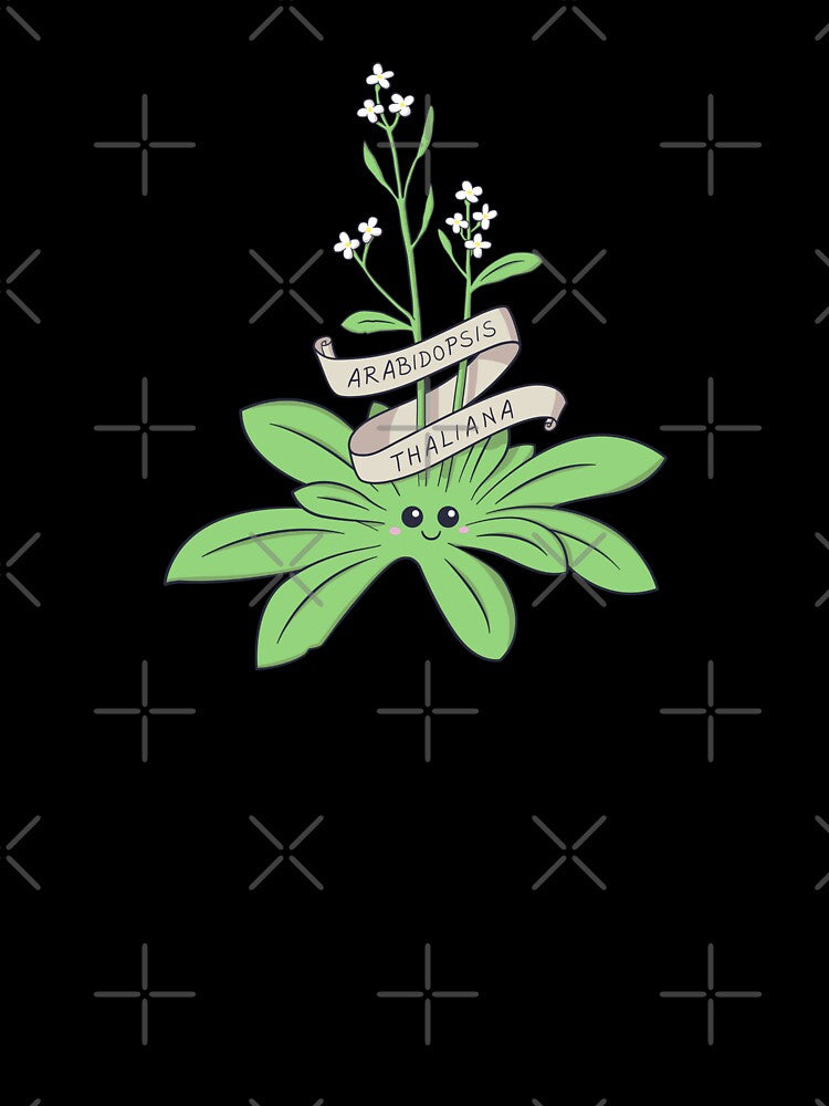 Cute Arabidopsis thaliana plant by cutescience