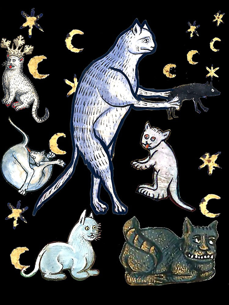 UGLY MEDIEVAL CATS Merch by tighsquiggly