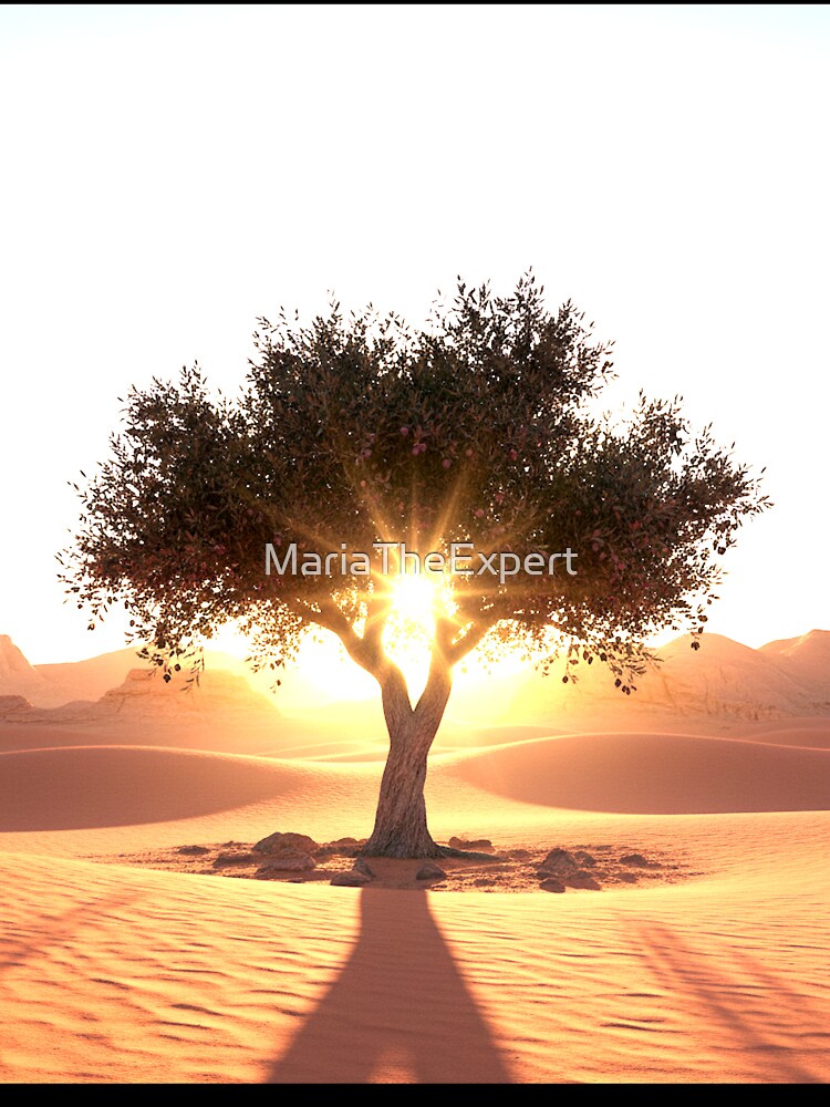 The Rising Sun and the Desert Olive Tree by MariaTheExpert