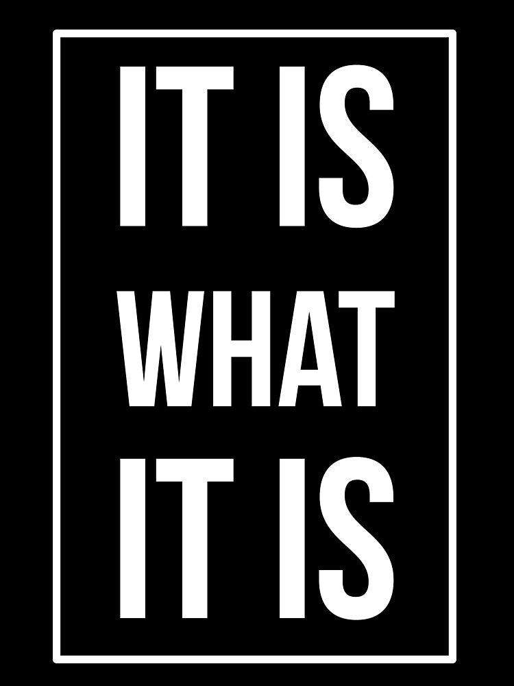 It Is What It Is by DiscoBoogie
