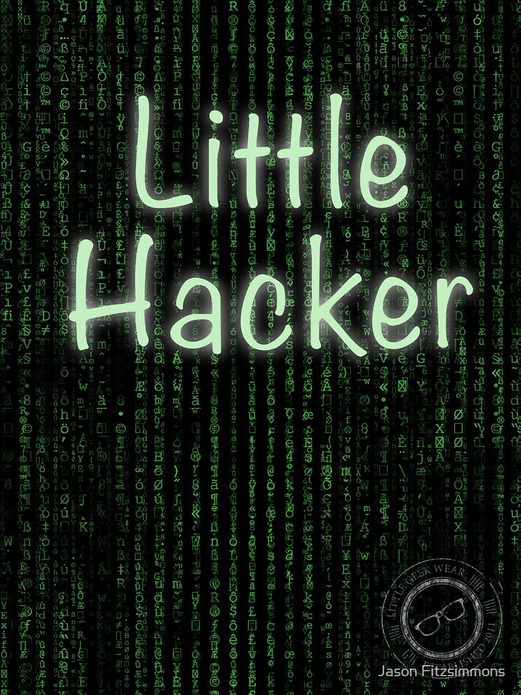 Little Hacker by Jason Fitzsimmons