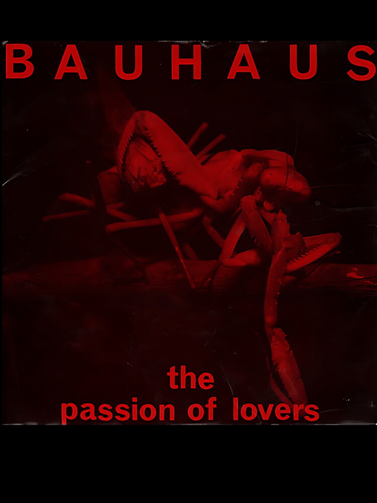 Bauhaus  Passion Of Lovers Cover Art by AaAa88