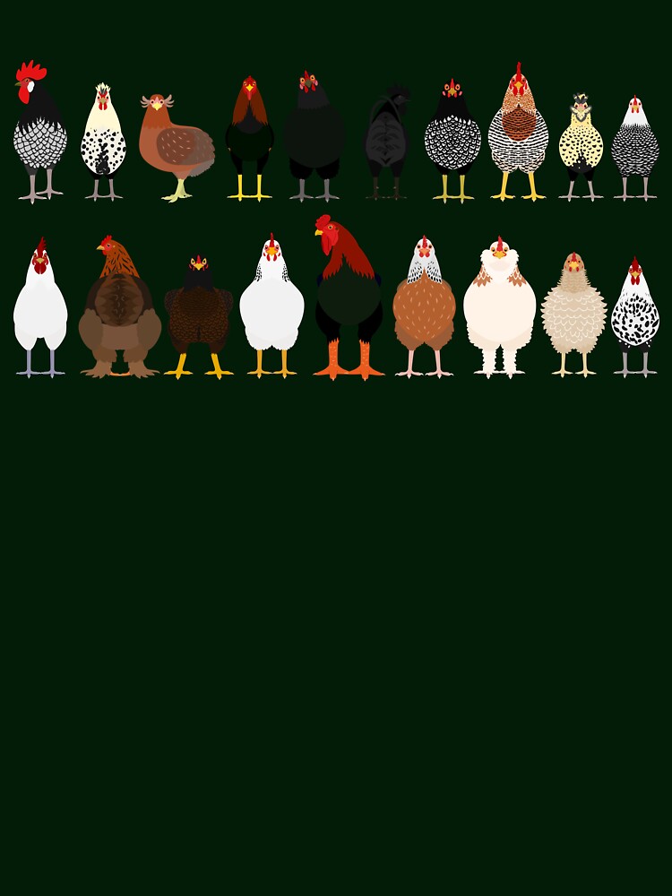 Chicken Breeds by refineryn1