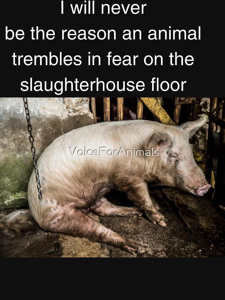 vegan and animal rights by VoiceForAnimals