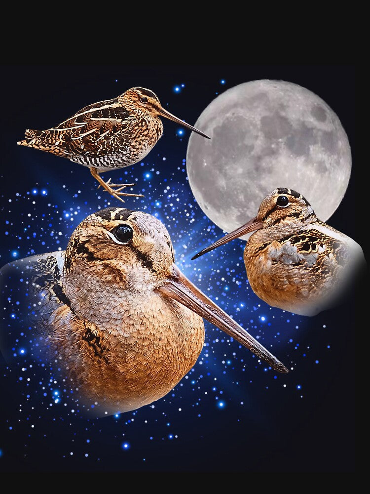 Three Meep Bird American Woodcock Moon Vintage by JustuKitties