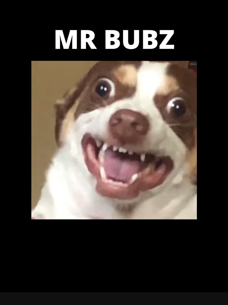 Mr Bubz meme by boutique0