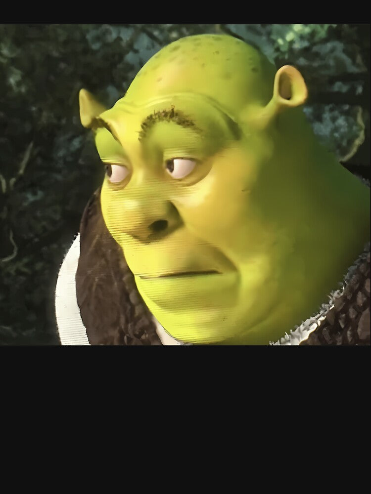 Shrek Meme by Henriettdam