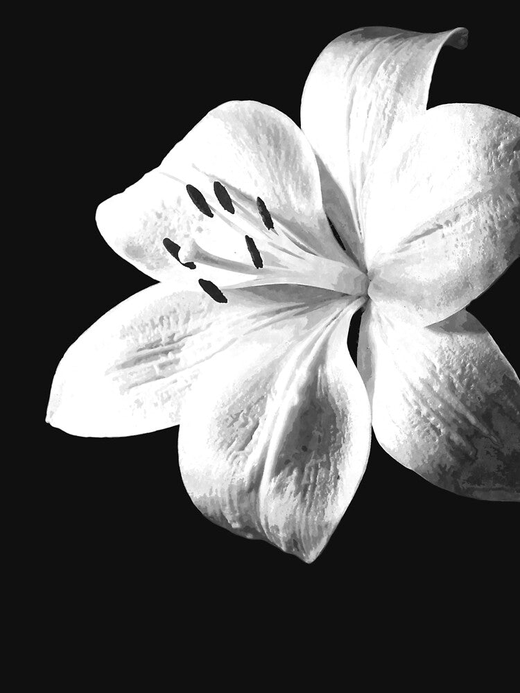 White Lily Black Background by Alemi
