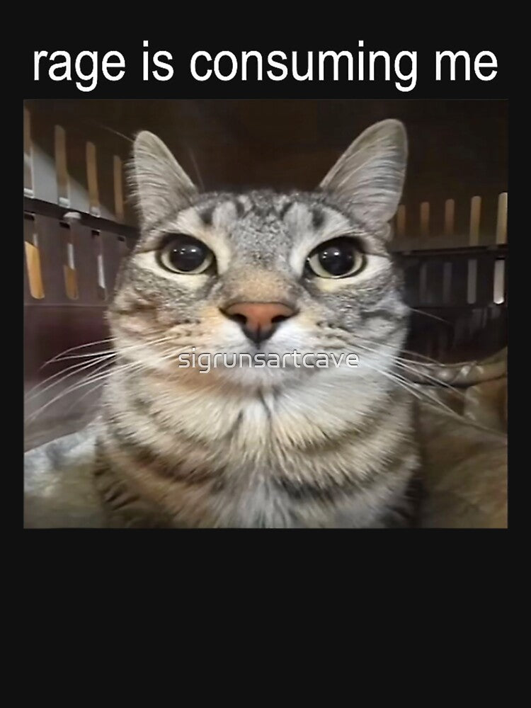 Rage Is Consuming Me Cat Meme by sigrunsartcave