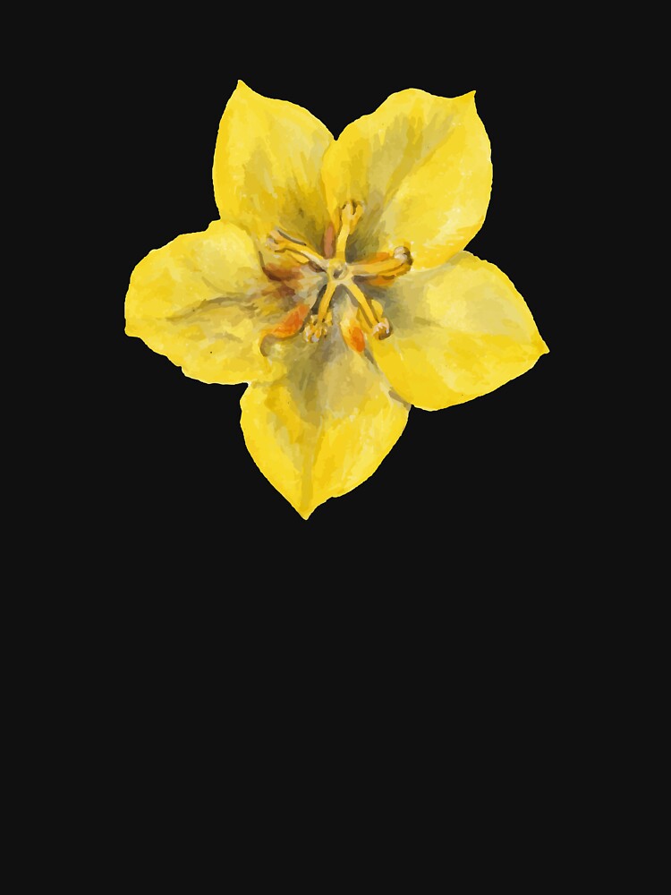 flower yellow by zaher97