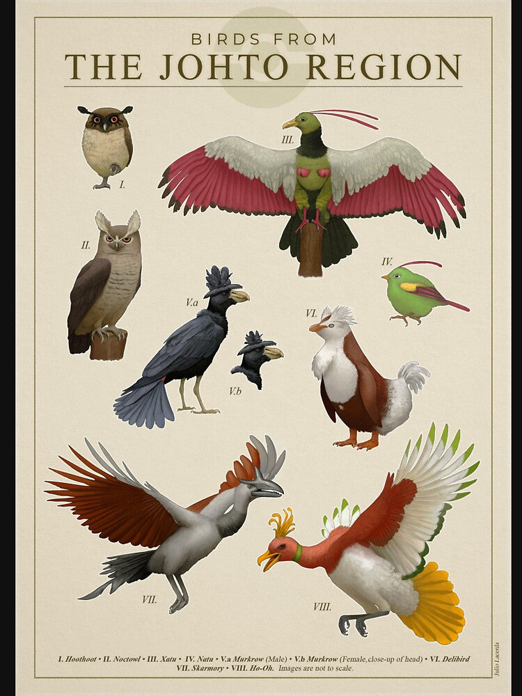 Birds from Johto by Julio Lacerda