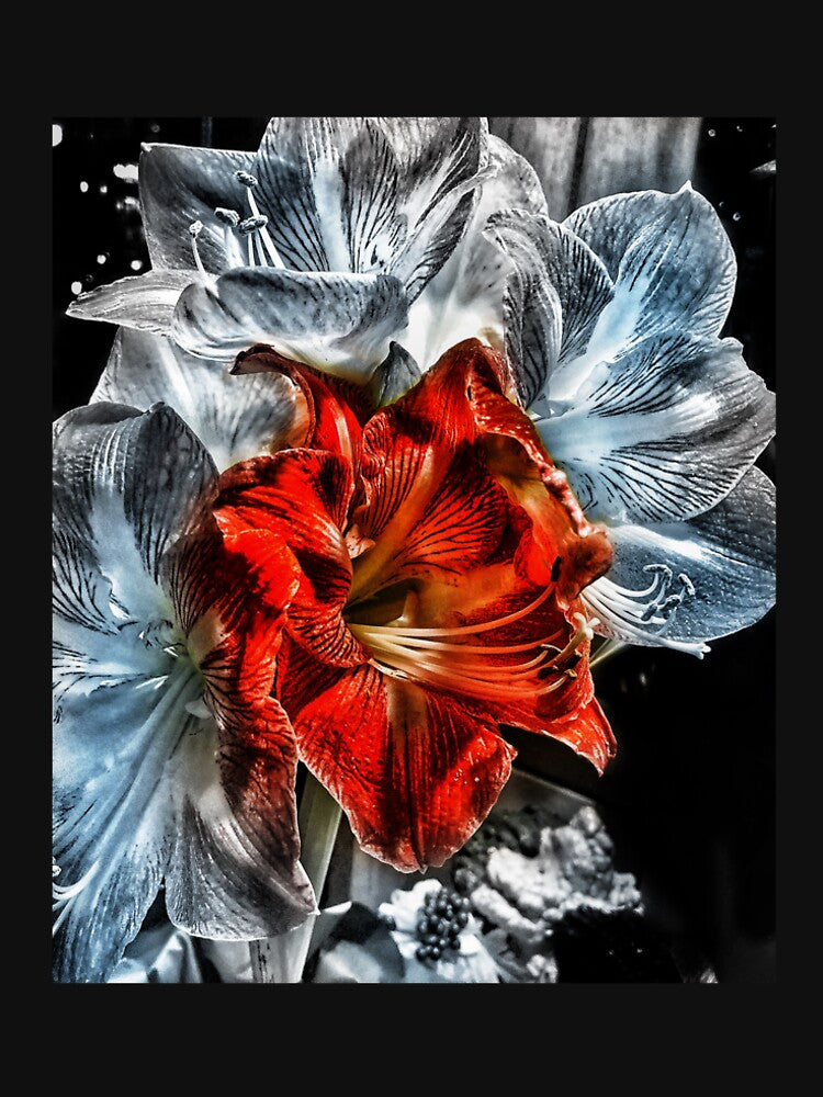 Portrait Of A Flower In A Dream by MyPhotoDreams