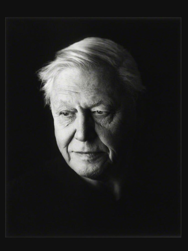 david attenborough black and white by CodySCH