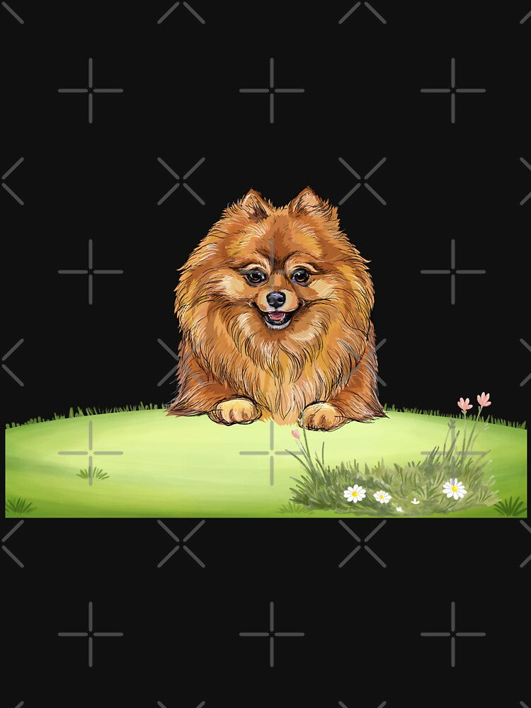 Pomeranian by Boummy