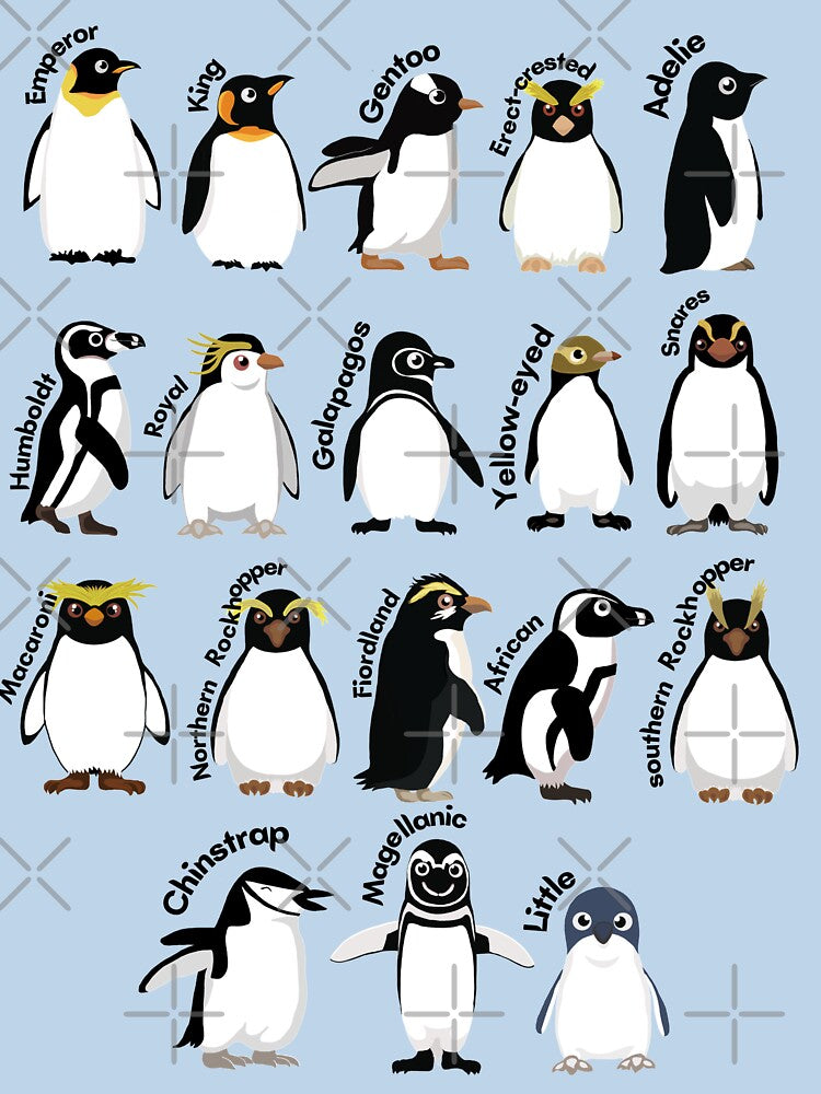 Penguin Species by Penguin Couture