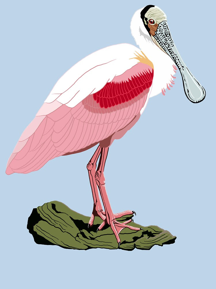 Roseate Spoonbill by BennuBirdy