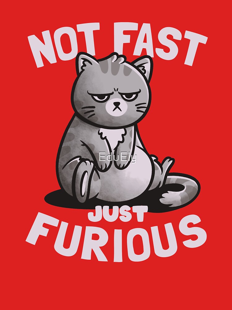 Not Fast Just Furious Cute Funny Cat Gift by EduEly