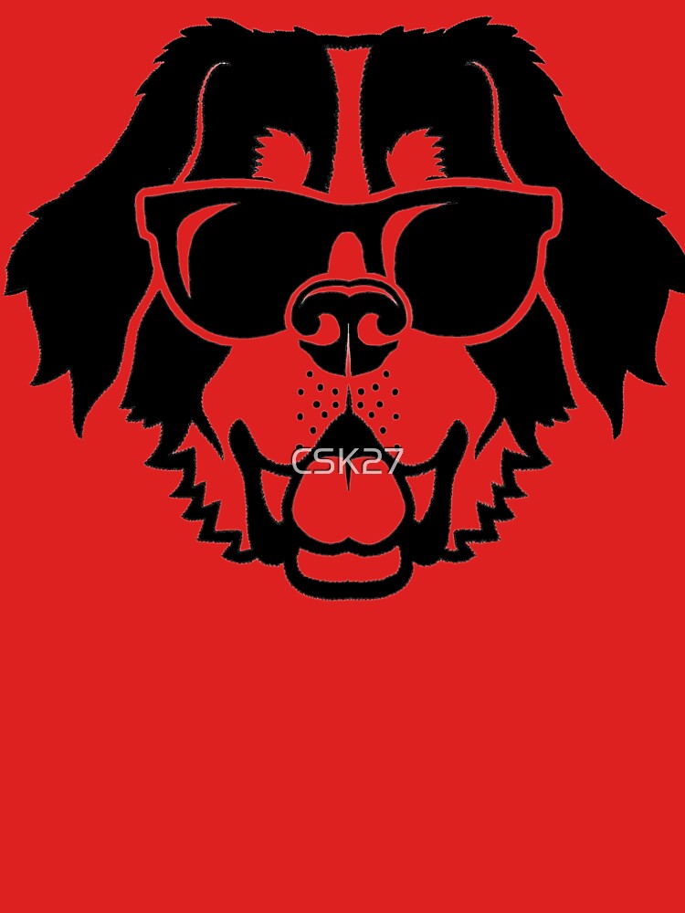 CSK 27 - Bernese Mountain Dog with sunglasses by CSK27