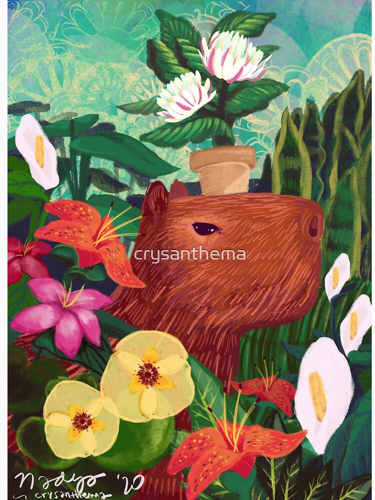 Capybara by crysanthema