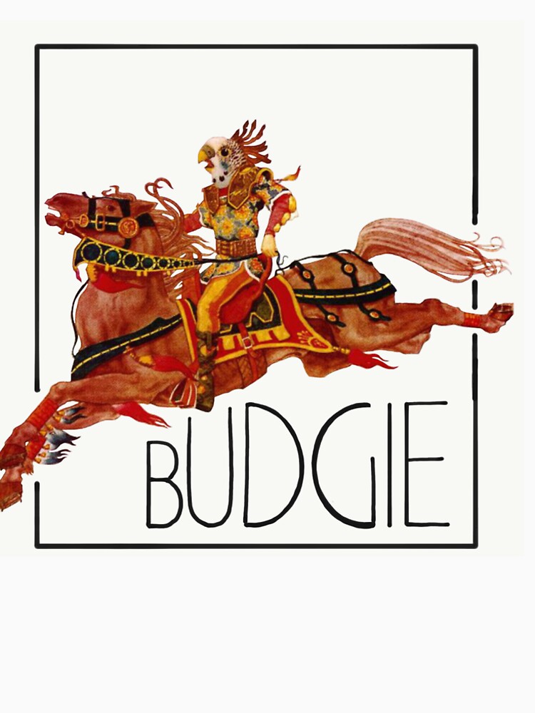 BUDGIE- Budgie- 1971 by New Old  Studios