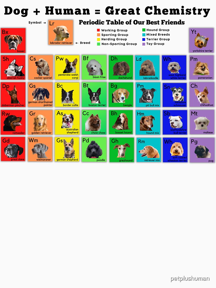 Periodic Table of Dogs, Science Lover, Dog Lover by petplushuman