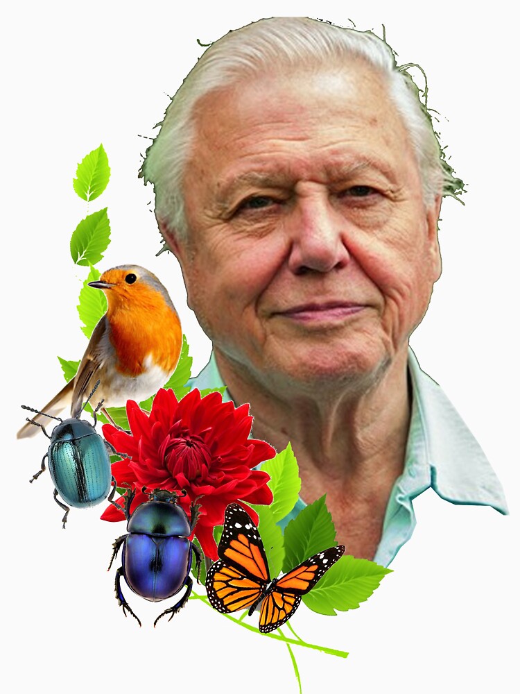 David Attenborough by nahm80