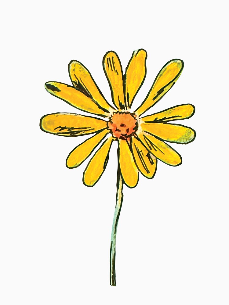Real hand painted Watercolor painting of a pretty field flower by a.dadash