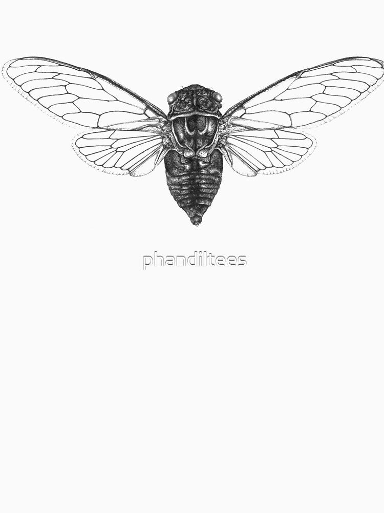 Cicada by DoodleDashCollective