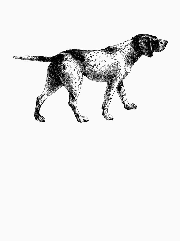 Dog by felipesilva