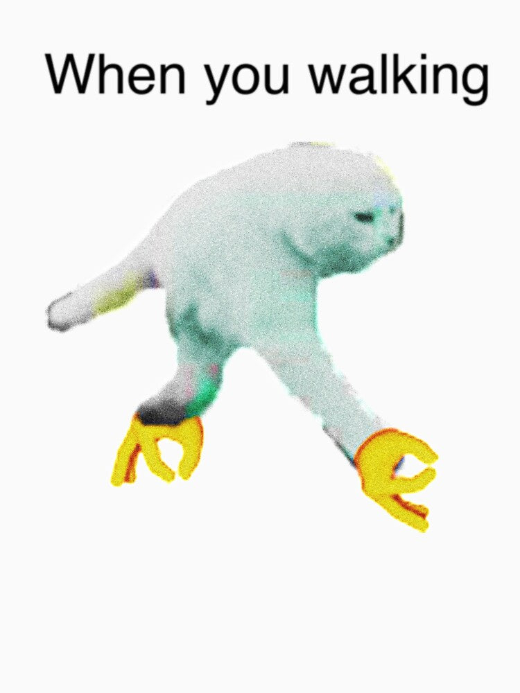 WHEN YOU WALKING DANK MEME by Meemedesigns
