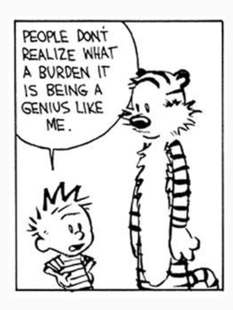 Calvin And Hobbes Funny Comic by Denisse Ellis