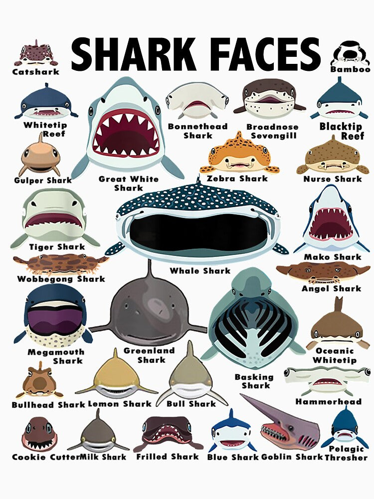 Types Of Shark Identification - Shark Faces - Shark Heart by DarrinLindstrom