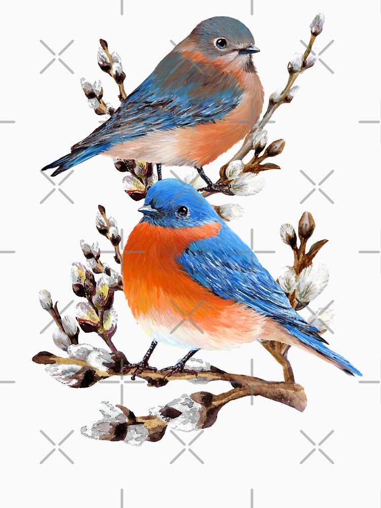 Eastern Bluebird Couple by Roy & Tiffany