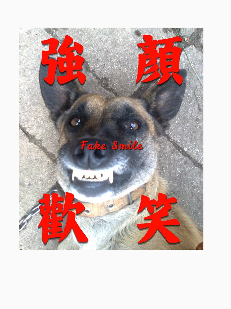 Fake Smile by Pawlection