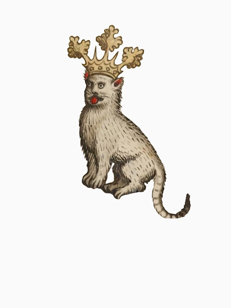 Funny Medieval Cat by Stormsoaked