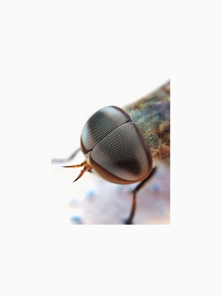 Horsefly eyes by Saipixels