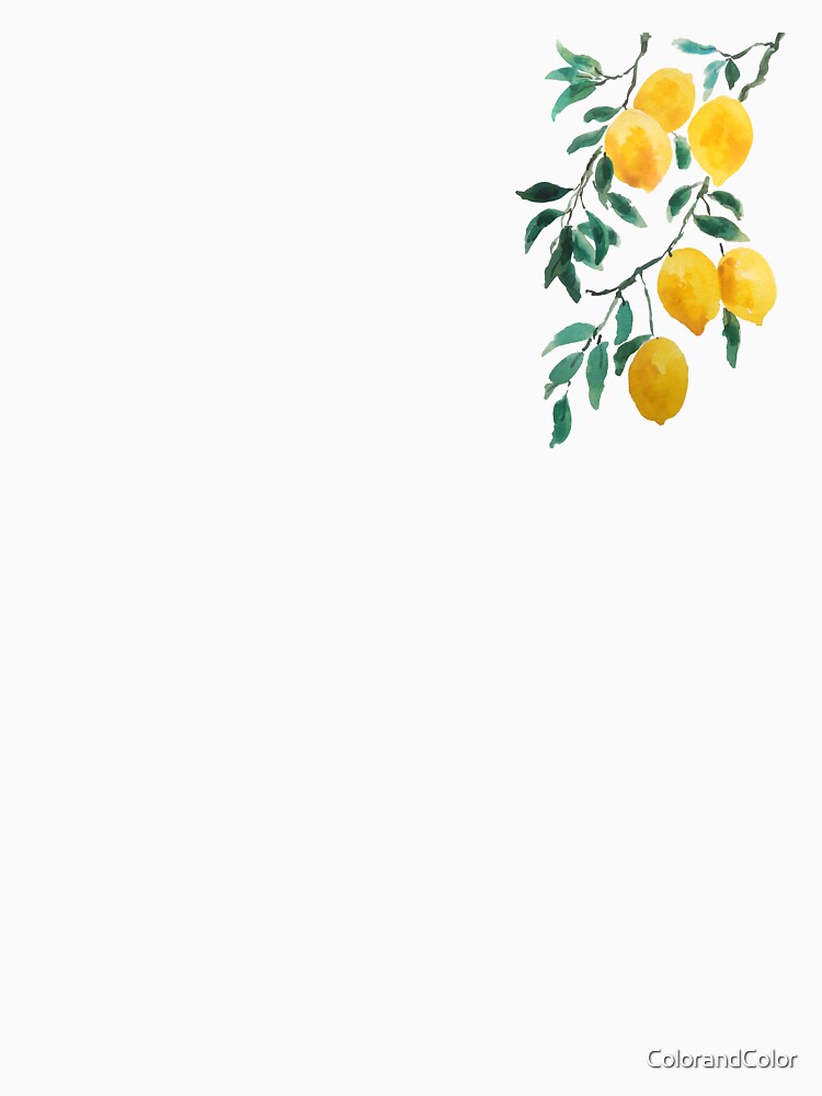 hand painted yellow lemon watercolor by ColorandColor