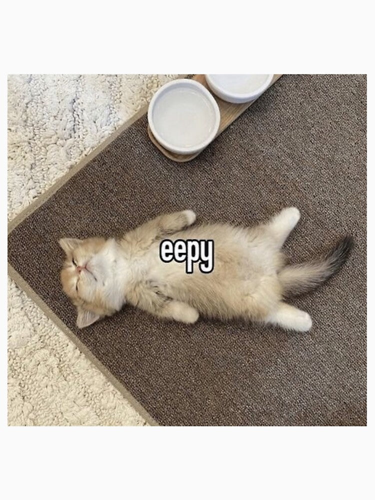 Eepy Kitten Meme by yuccaroot