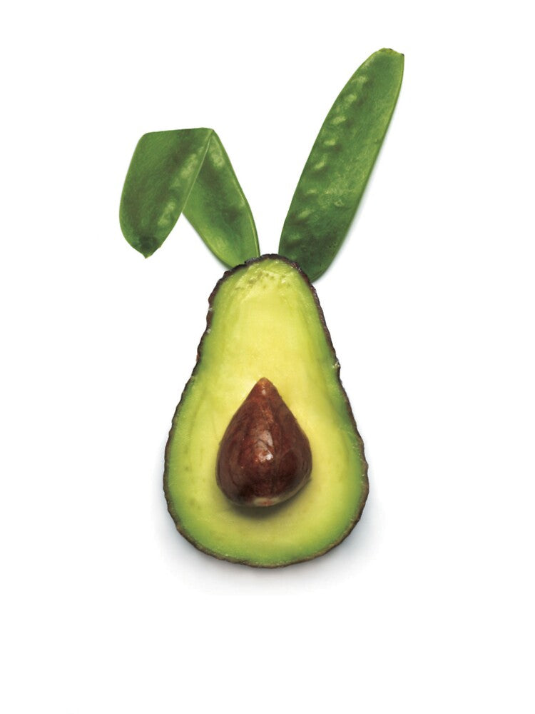 Food art by The Digital Harvest
