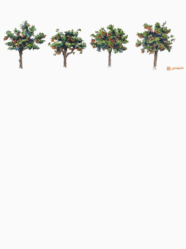 orange trees by crissini