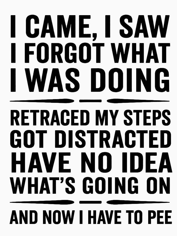 i came, i saw i forgot what i was doing retraced my steps got distracted on my way back have no idea what's going on and now i have to pee by hemagamo