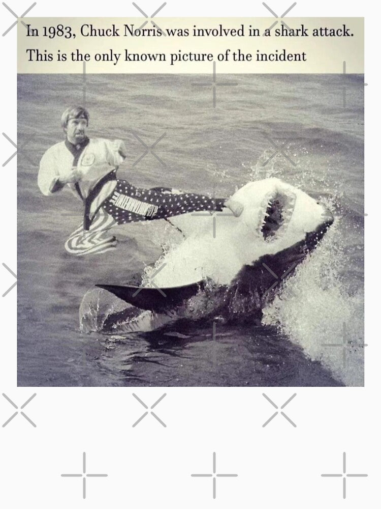 Chuck Norris Shark Attack Funny by ThatMemeDude