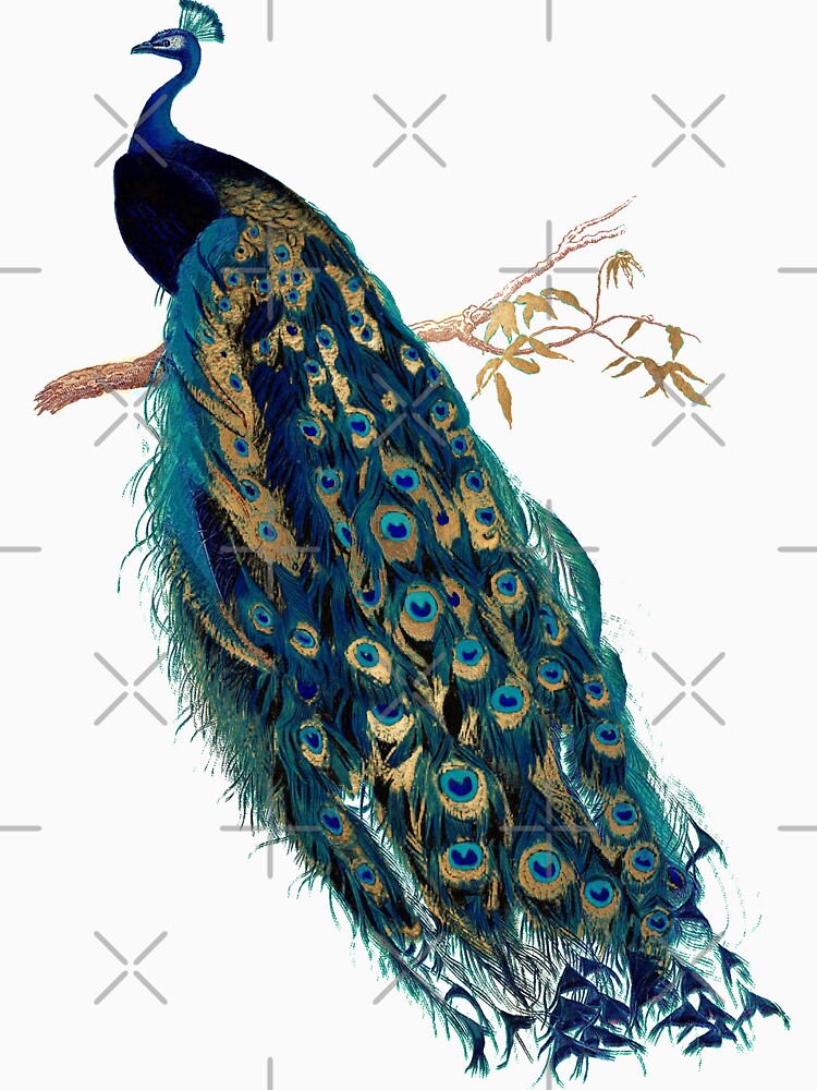 Vintage Peacock by PixDezines