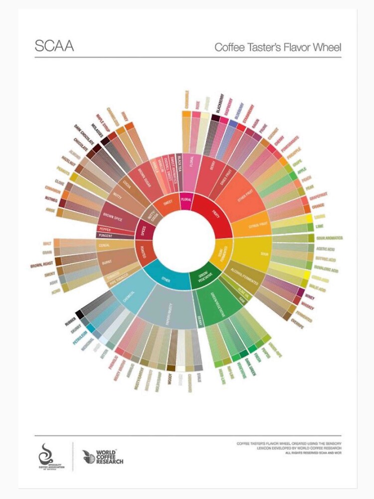 Popchart Wheel Coffee by cediklricahard