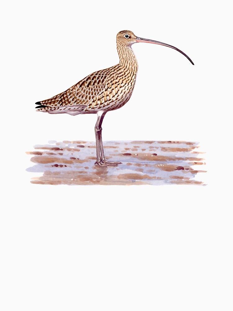Far-eastern Curlew painting by kokayart