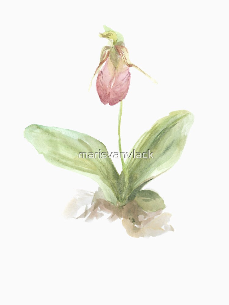 Lady's Slipper by marisvanvlack
