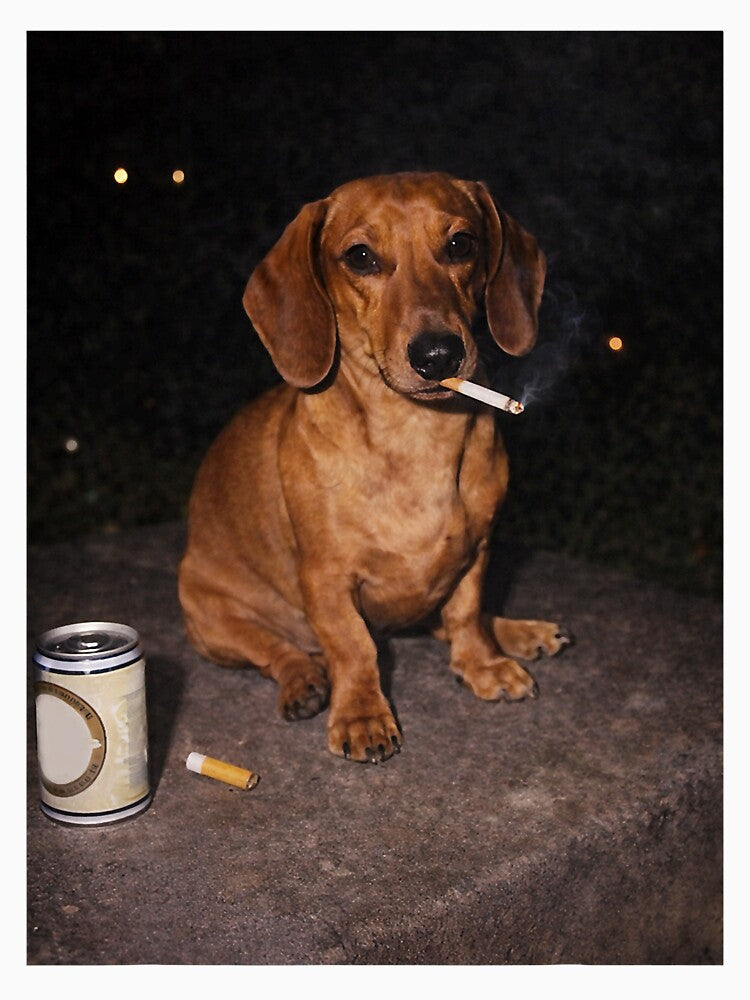 Funny Smoking Dog Dachshund Meme by FrankIsabel