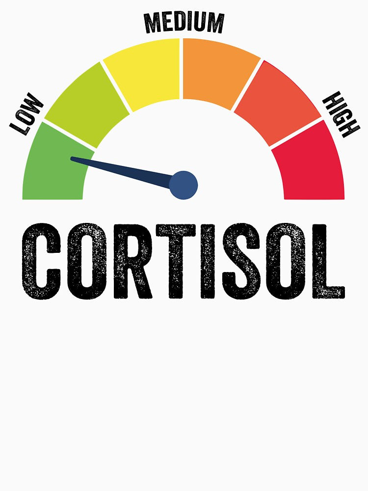 Low Cortisol Levels by RyuEssence